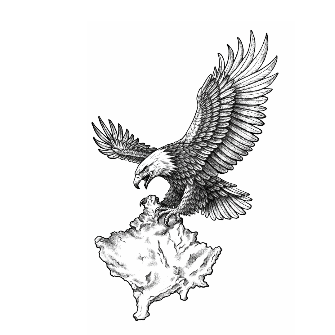 Albania x Kosov