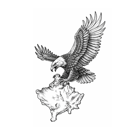Albania x Kosov