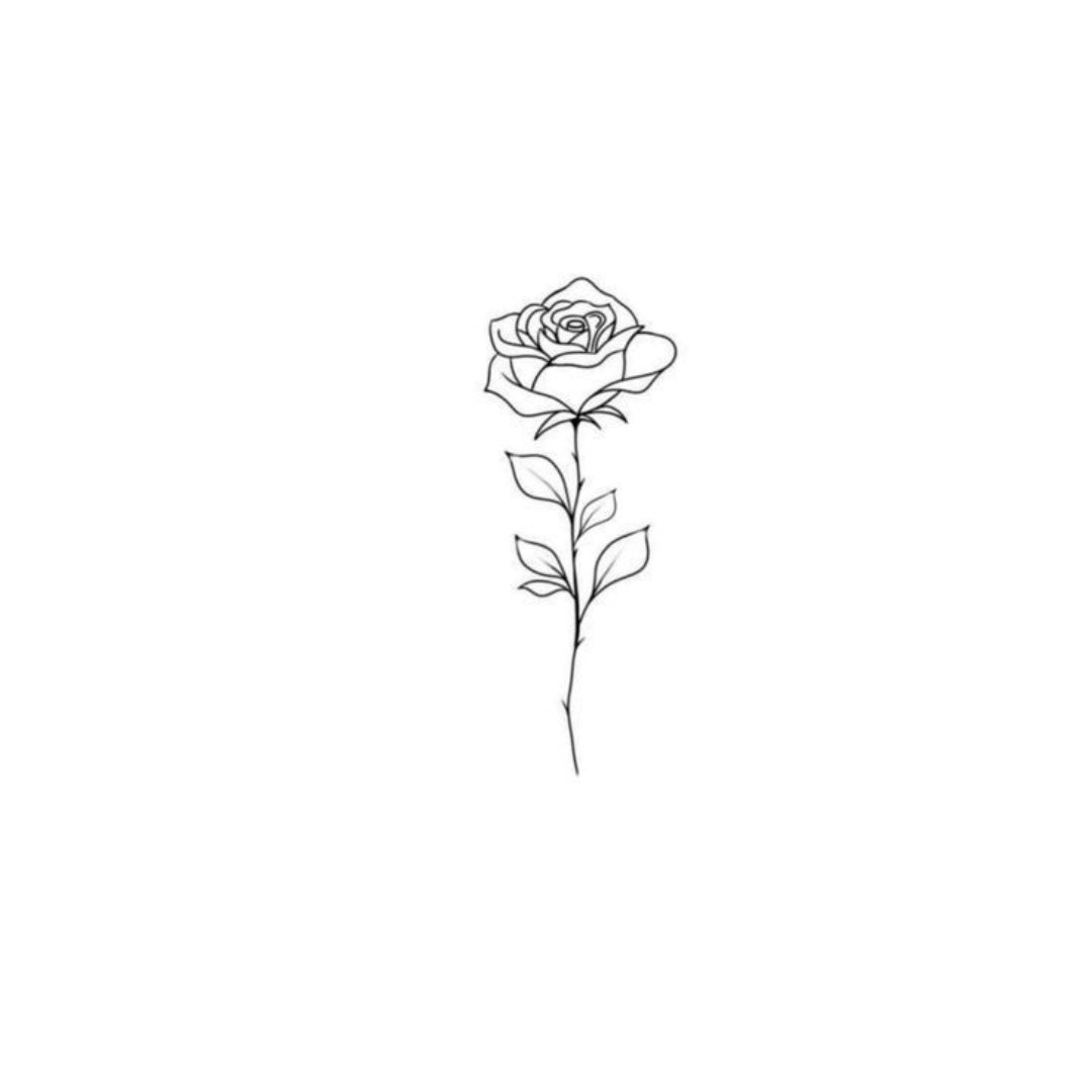 Utsukushii Rose