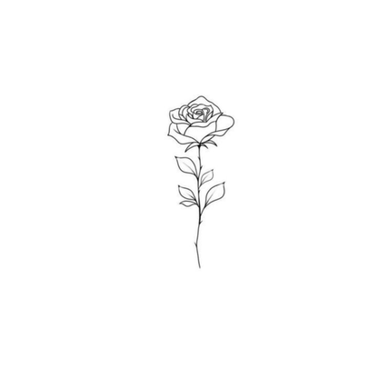 Utsukushii Rose