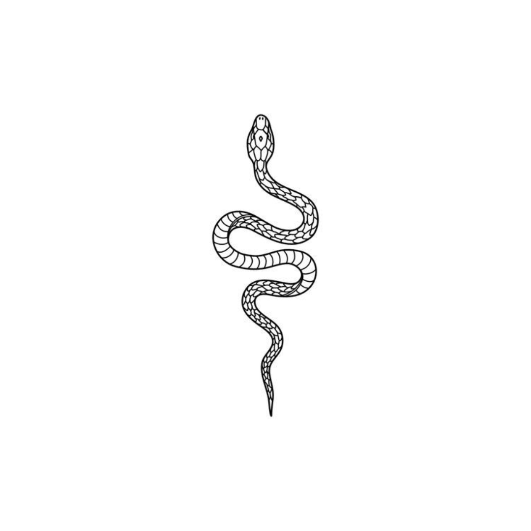 Snake - upper body