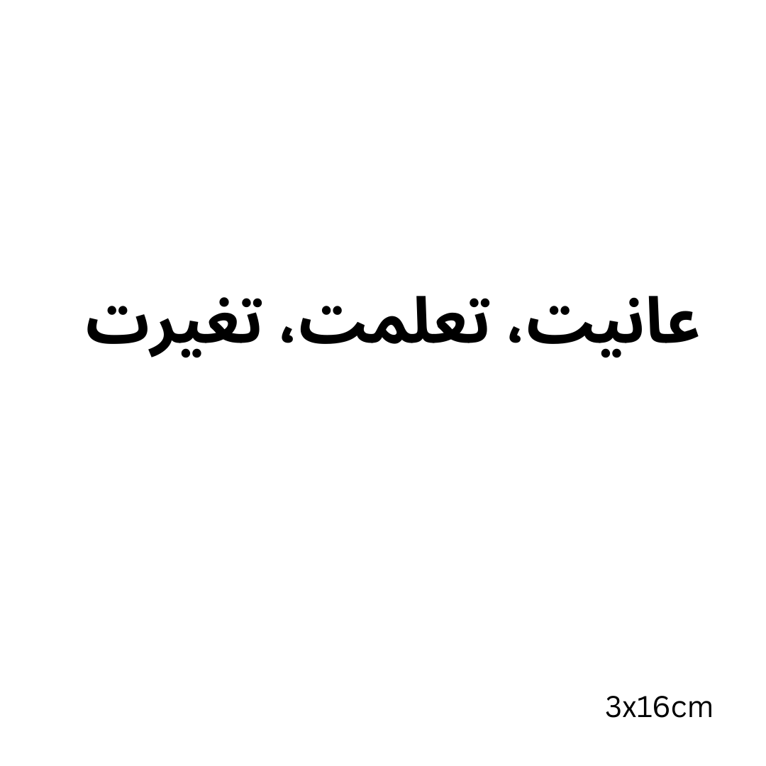 (suffered, I learned, I changed)